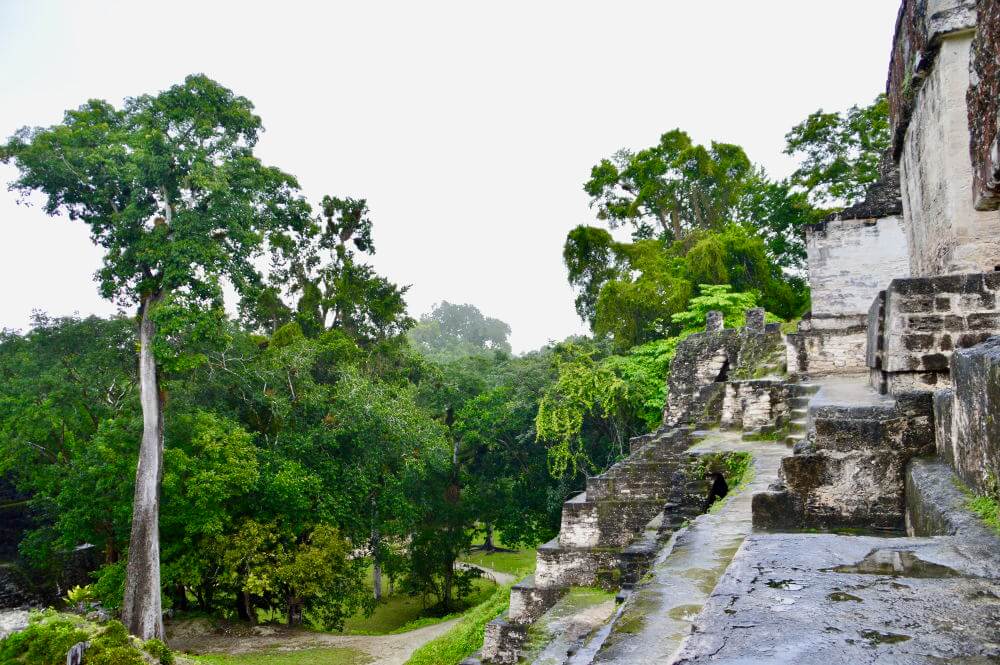 Tikal