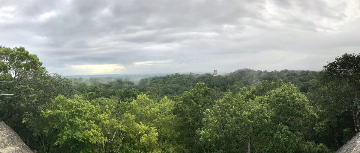 Tikal