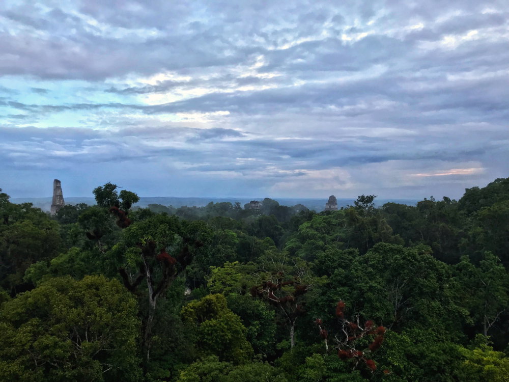 Tikal Sunset