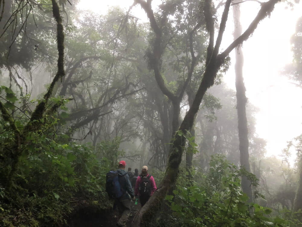 Acatenango hike