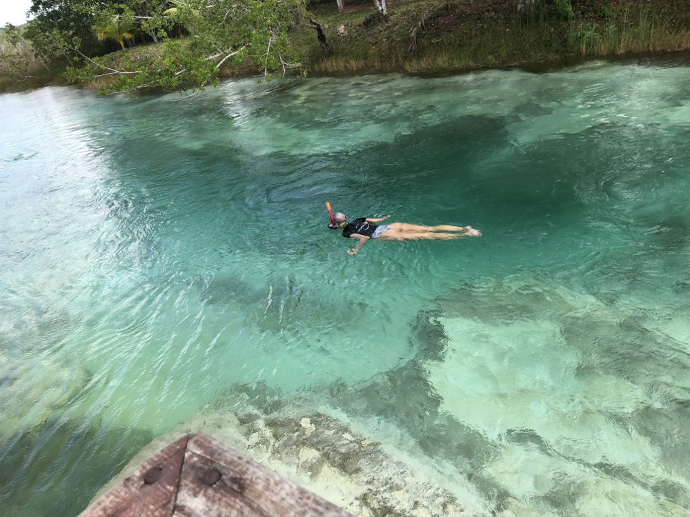 Bacalar