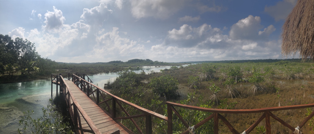 Bacalar