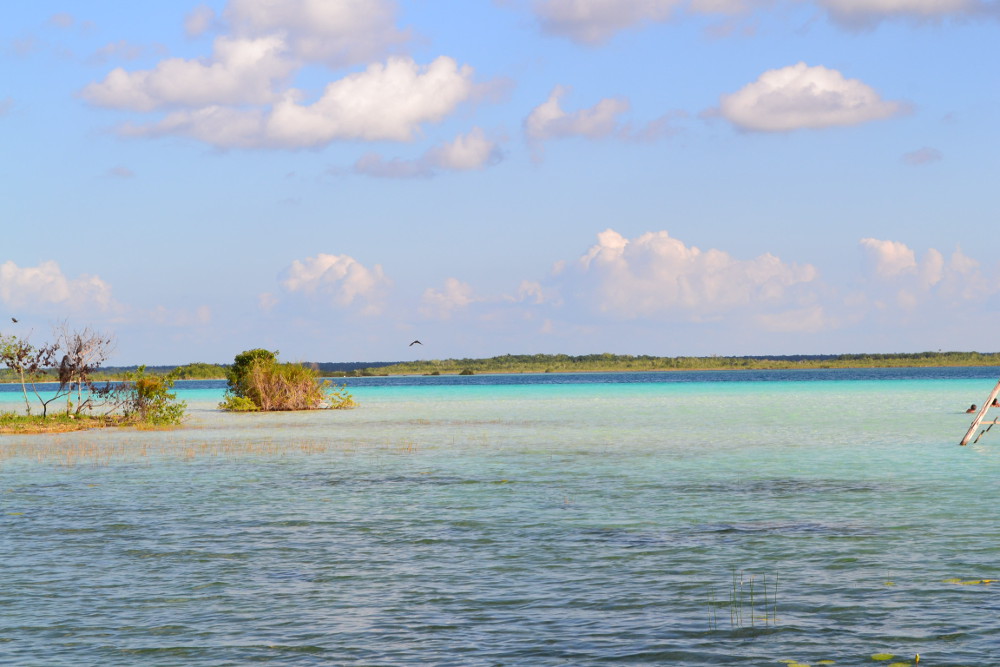 Bacalar