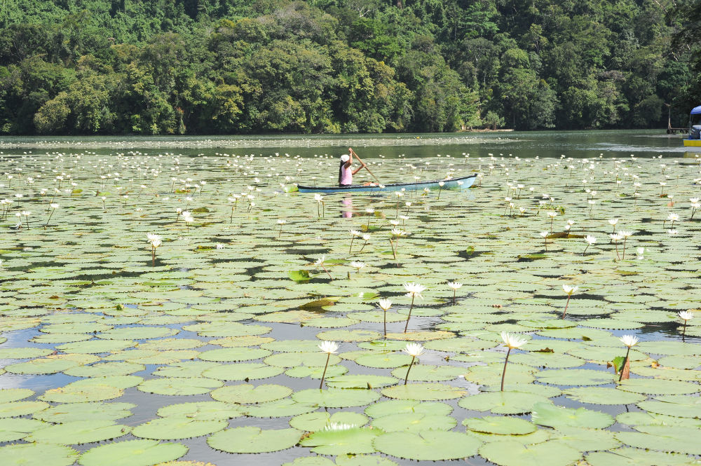 Rio Dulce in Guatemala