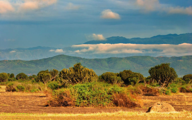 Queen Elizabeth National Park