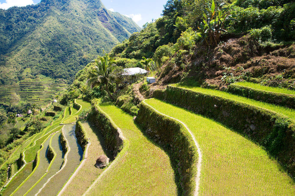 Banaue