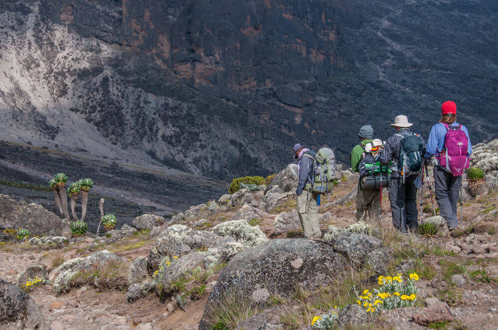 Kilimanjaro beklimmen