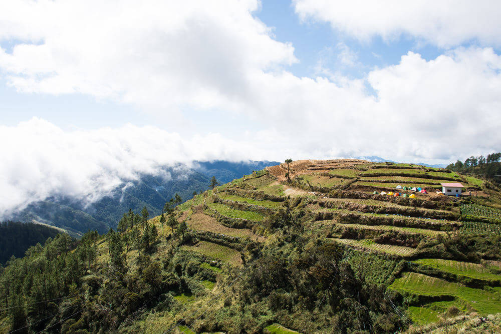 Mount Pulag