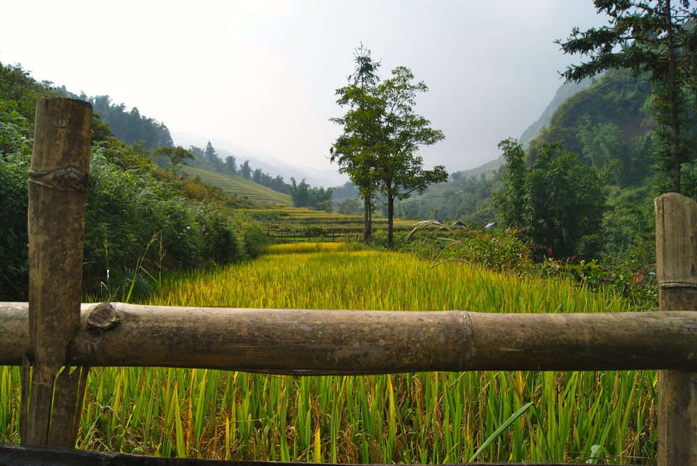 Sapa Vietnam