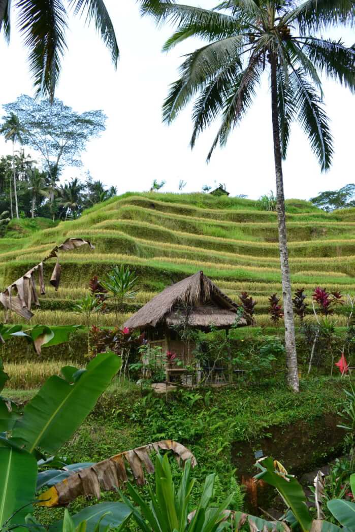 Ubud