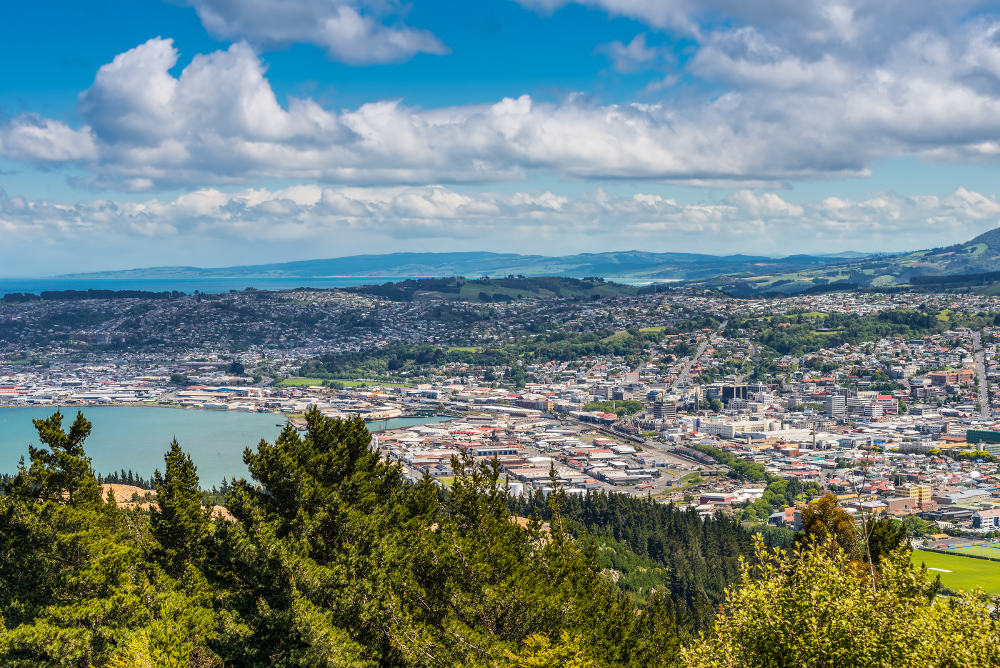 Signal Hill Dunedin