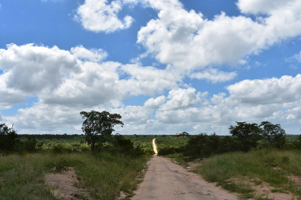 Kruger National Park