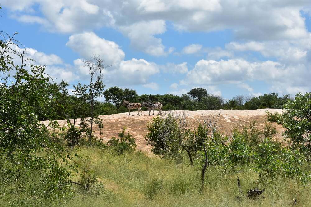 Kruger National Park