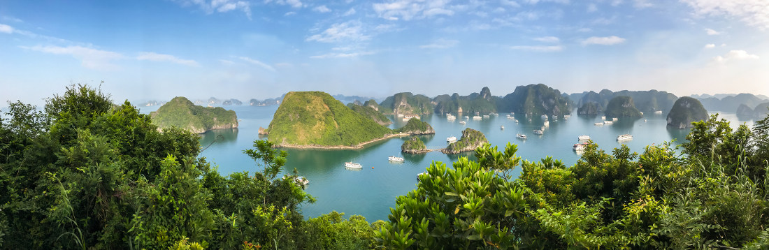 Cruise in Halong Bay