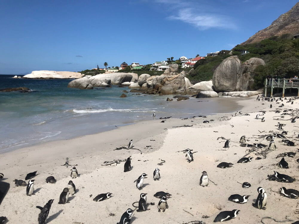 Boulders Beach