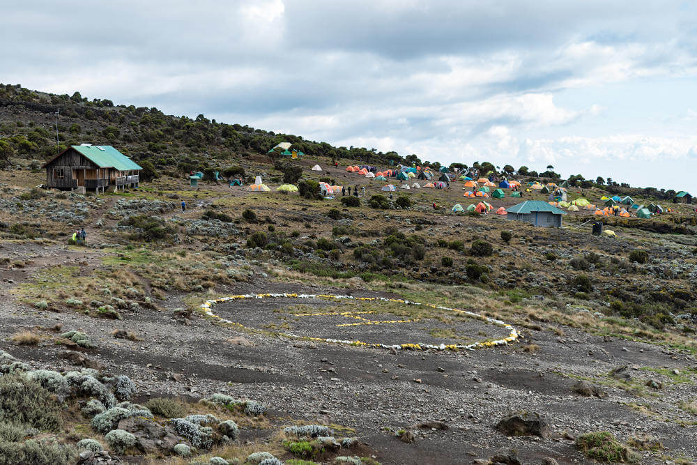 Kilimanjaro