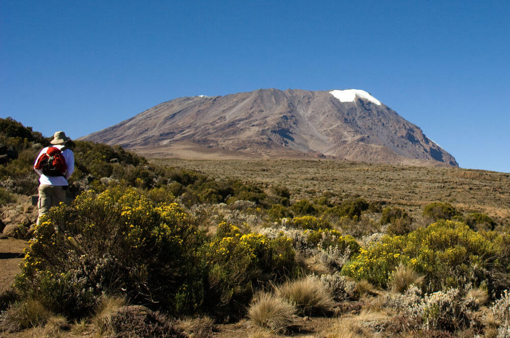 Kilimanjaro