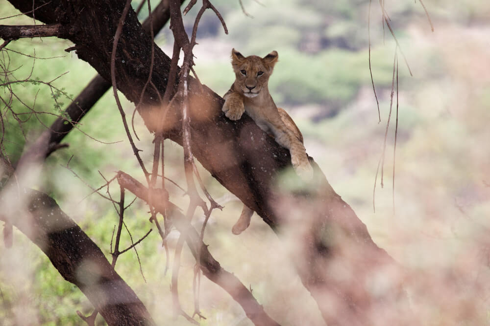 Lake Manyara