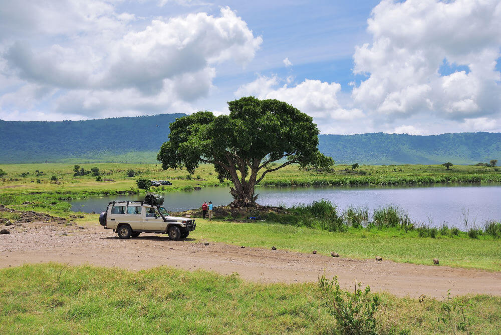 Ngorongoro