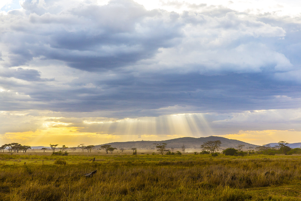 Serengeti National Park