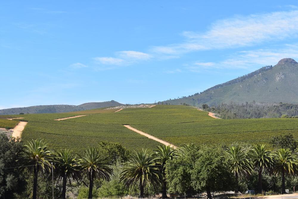 Stellenbosch