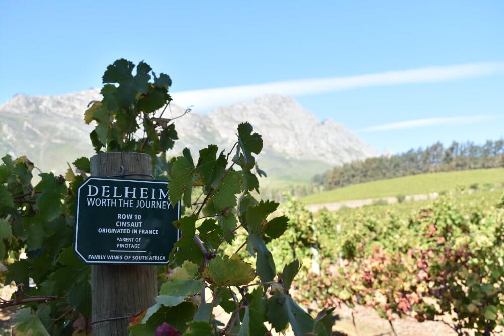 Stellenbosch