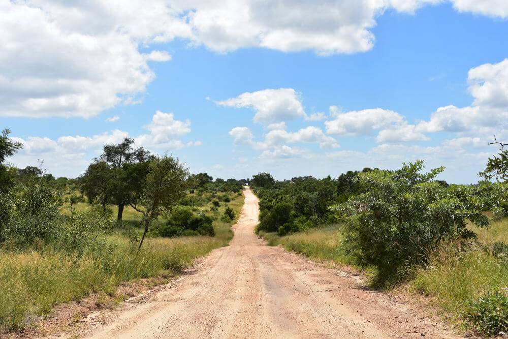 Krugerpark, Zuid-Afrika