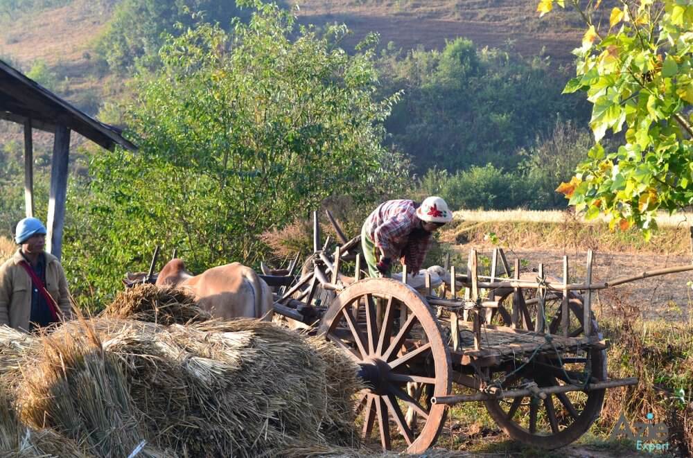 Kalaw Myanmar