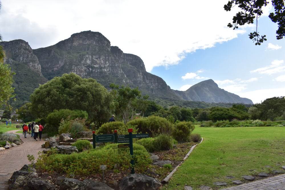 Kirstenbosch