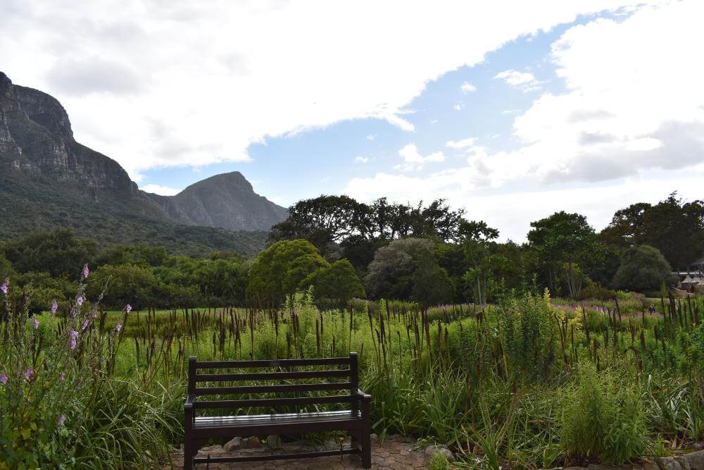 Kirstenbosch