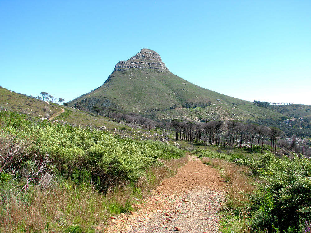 Lions Head