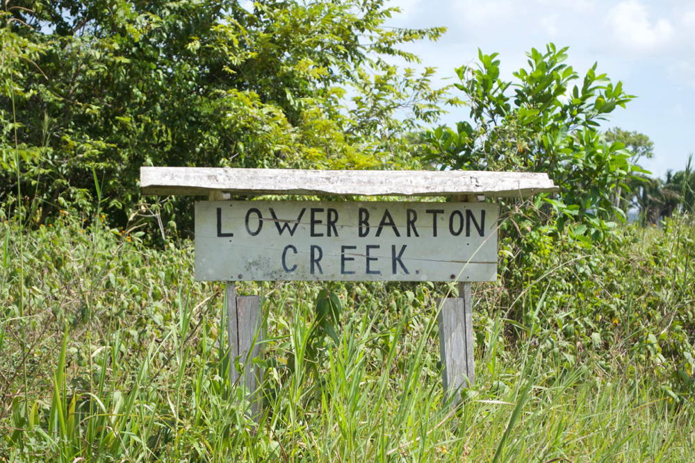 Lower Barton Creek