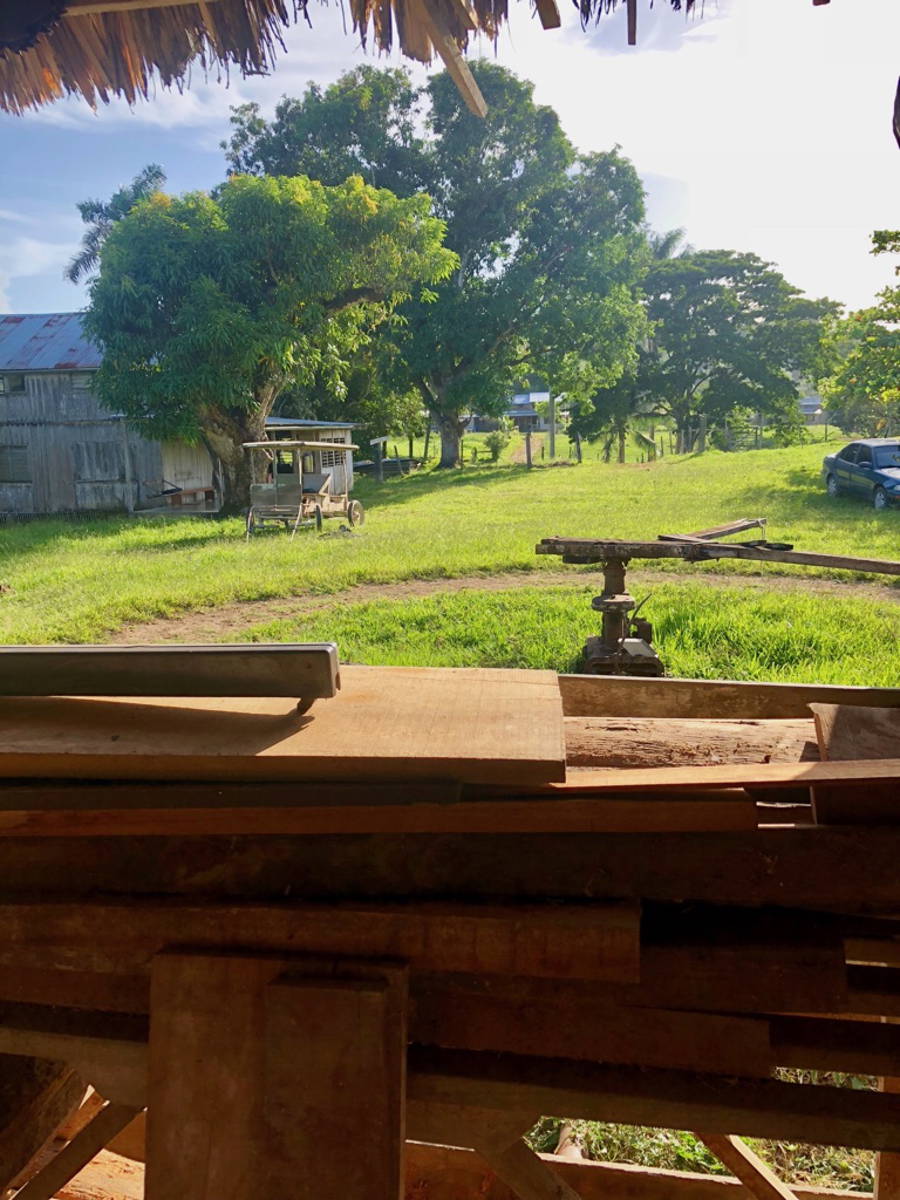 Mennonieten in Belize