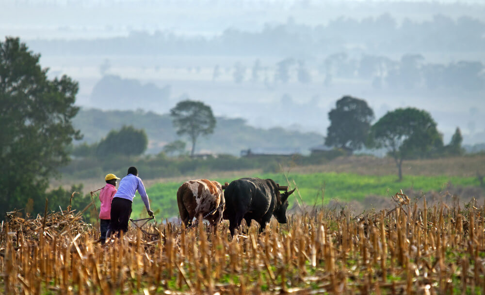 Mount Elgon National Park