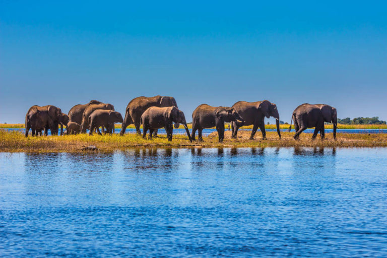 Okavango Delta