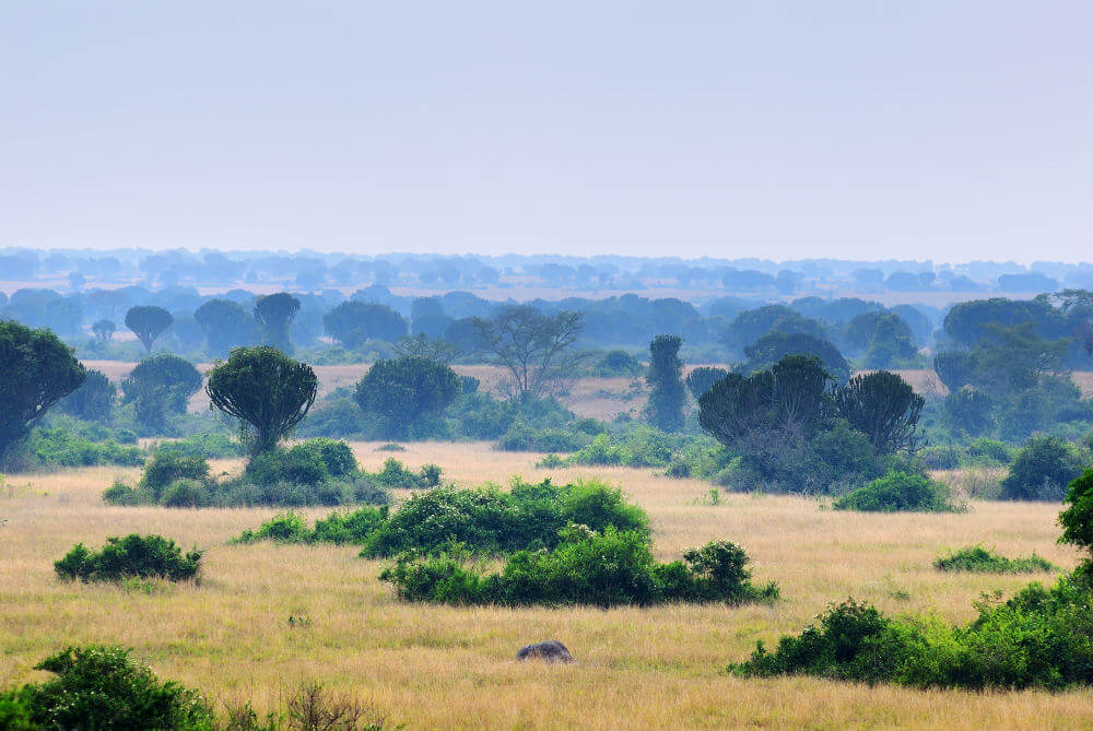 Queen Elizabeth National Park