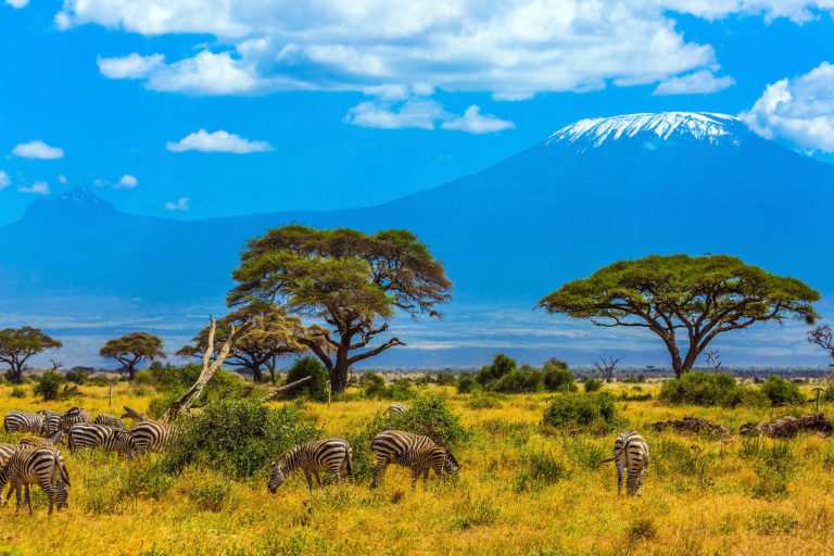 Amboseli National Reserve