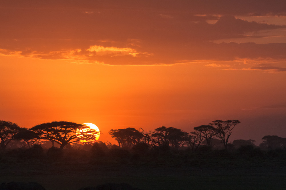 Amboseli National Reserve