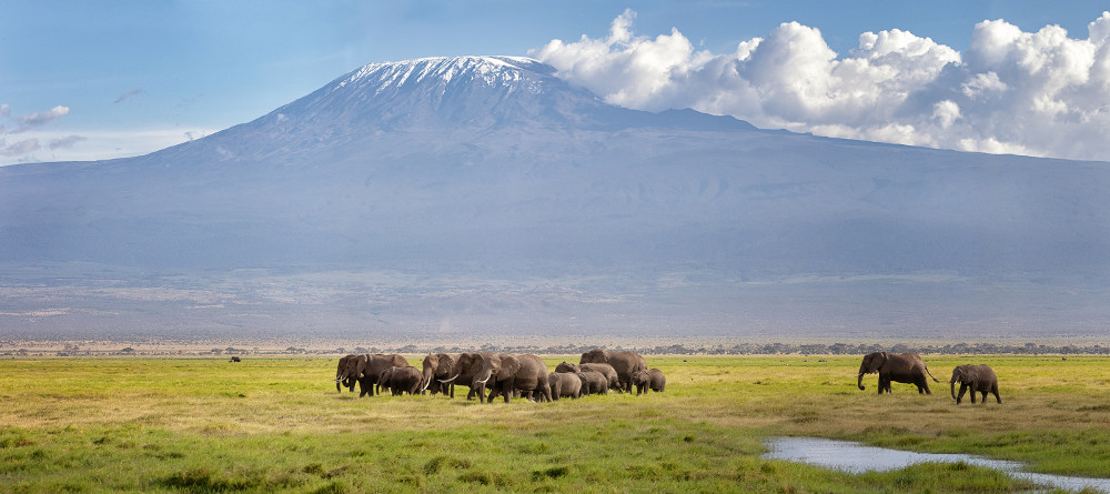 Amboseli National Reserve