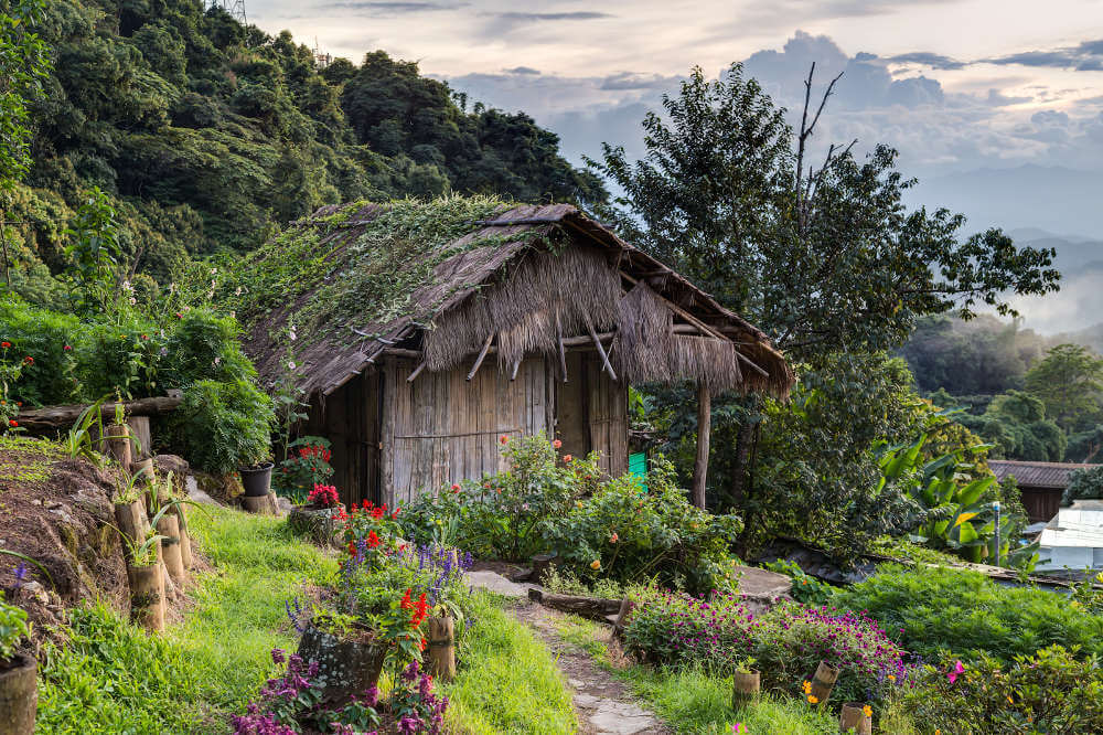 Doi Pui Chiang Mai