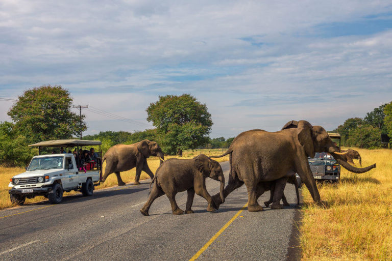 Chobe National Park