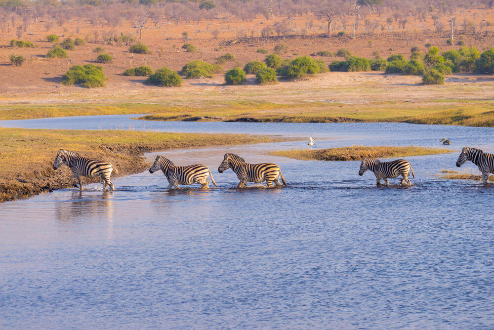 Chobe National Park