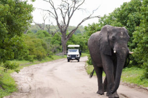 Chobe National Park