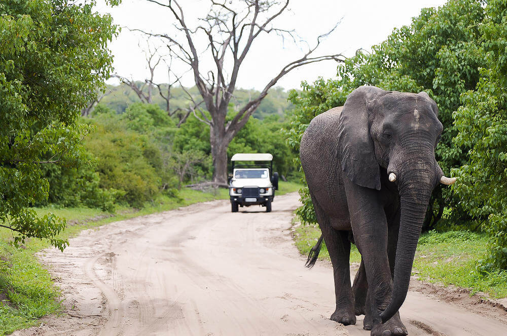 Chobe National Park