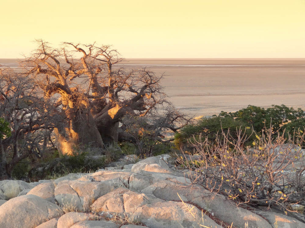 Makgadikgadi