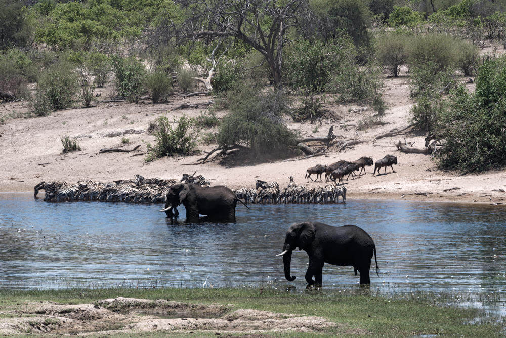 Makgadikgadi Pans National Park