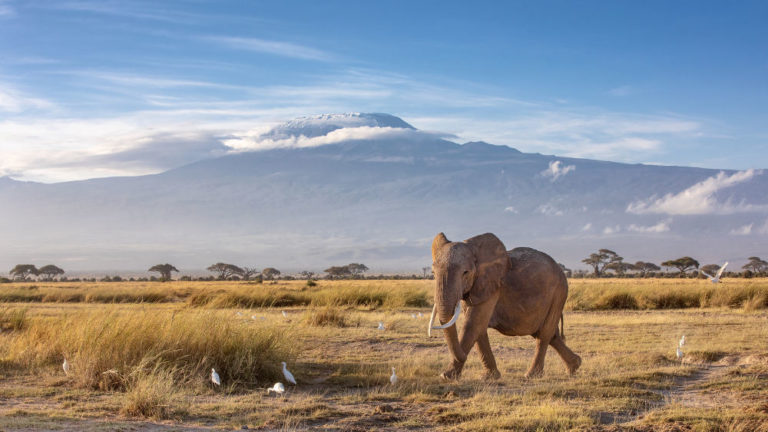 Mount Kenya