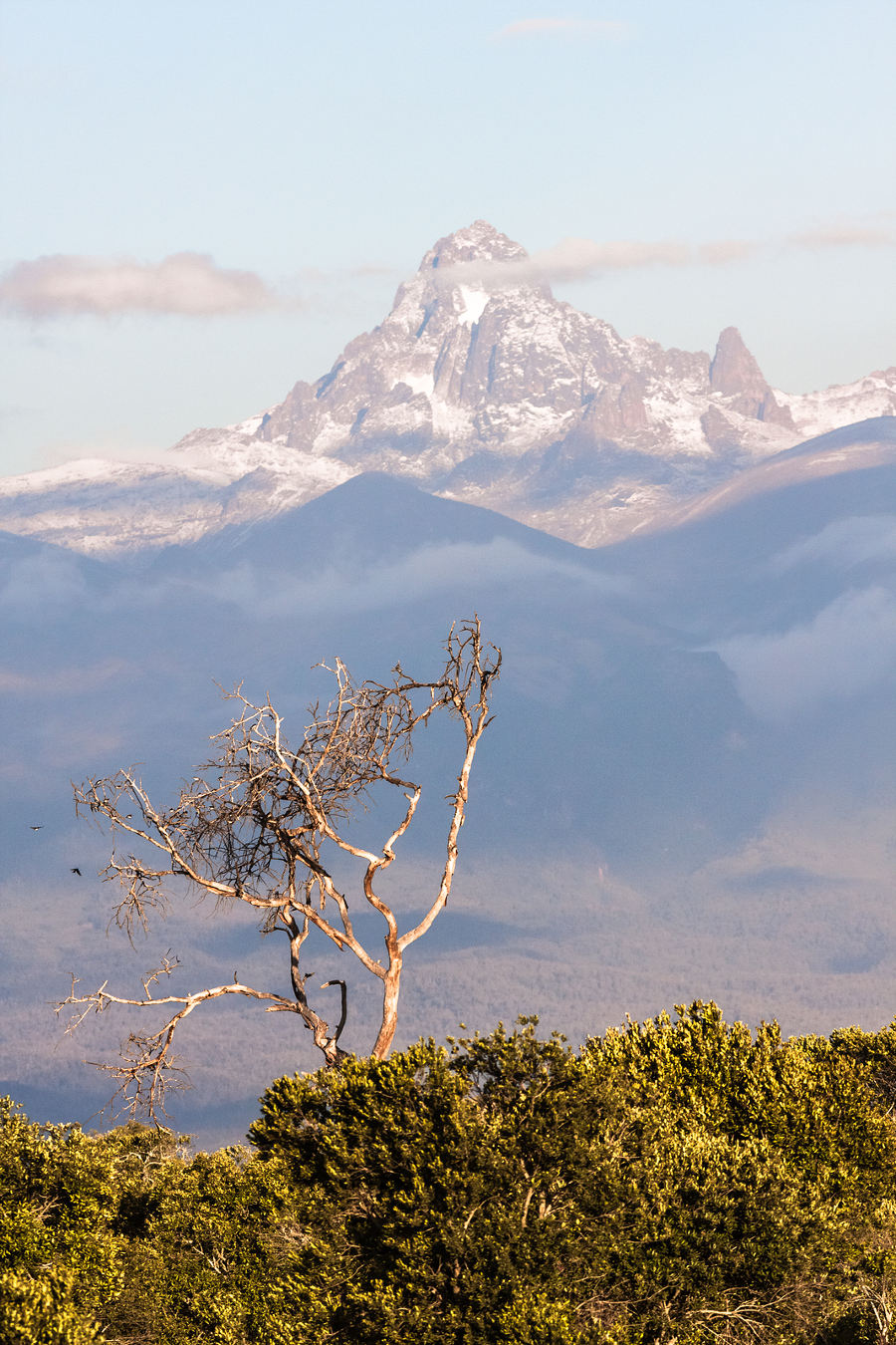 Mount Kenya