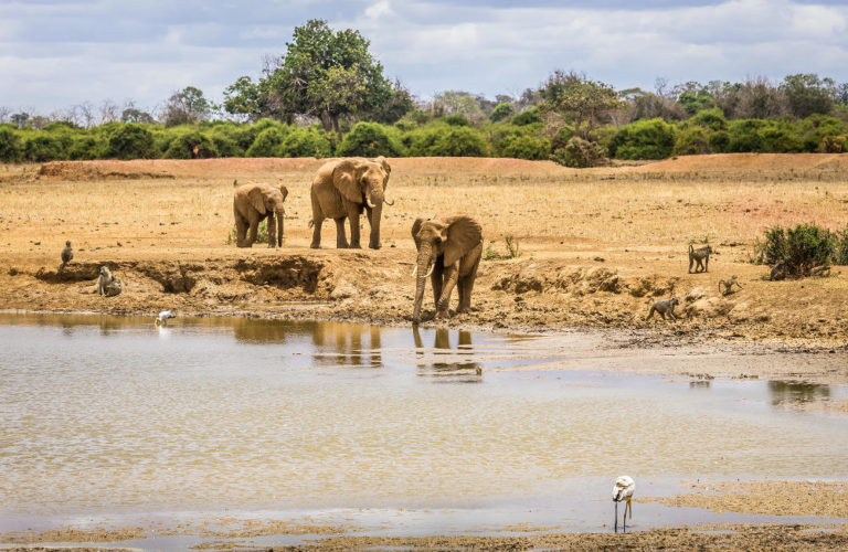 Tsavo National Park