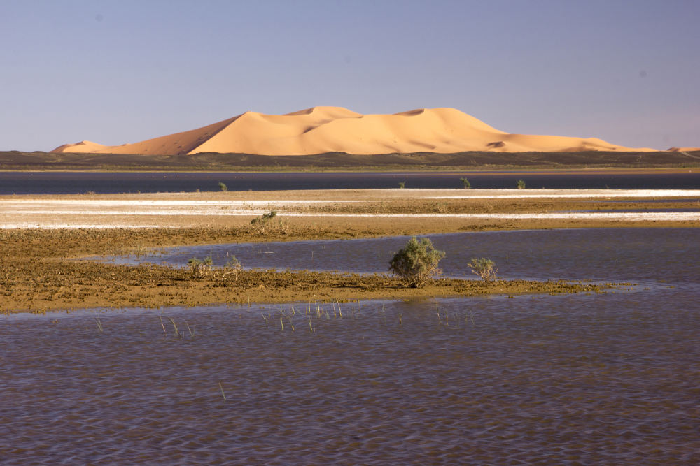 Merzouga